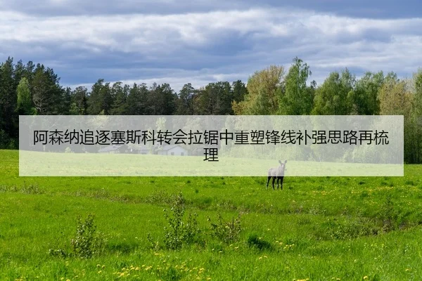 阿森纳追逐塞斯科转会拉锯中重塑锋线补强思路再梳理